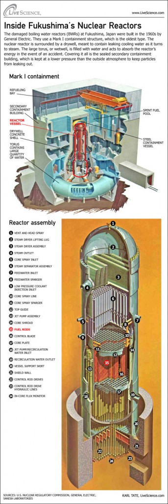 fukushima-reactor